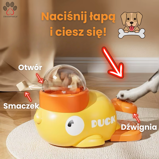 Karmiąca Kaczucha - interaktywny podajnik karmy