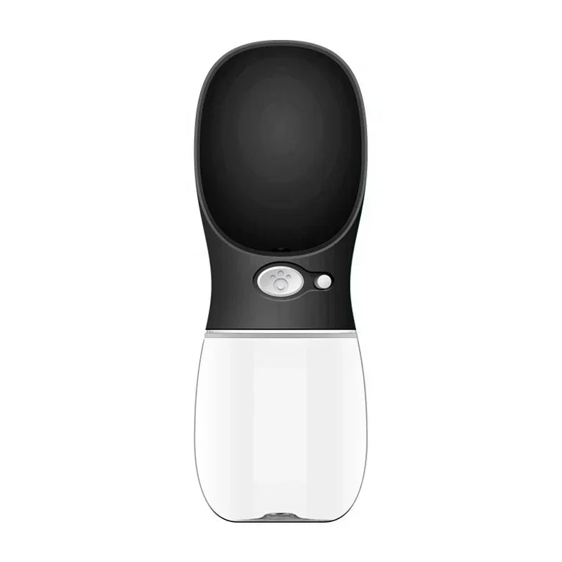 47833092718924|47833092784460