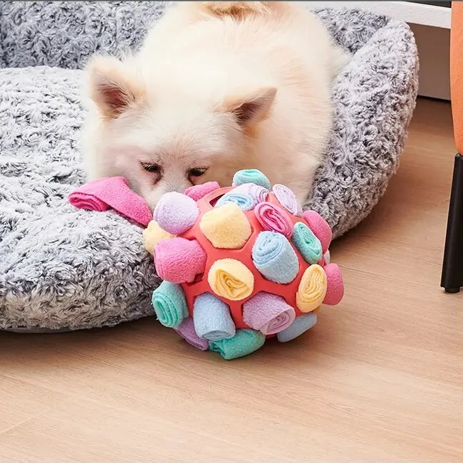 Szalone Języczki - innowacyjna zabawka dla psa