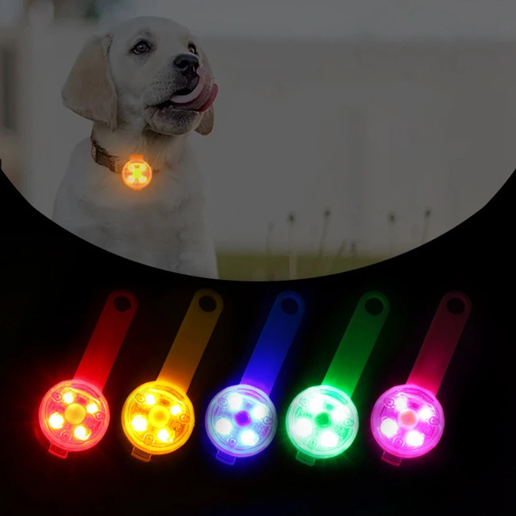 Lampka LED - oświetlenie nocne dla psa