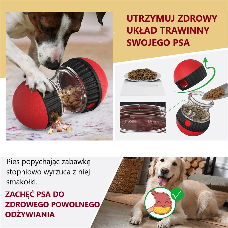 Zwrotny Grzybek - pomysłowa zabawka dla psa
