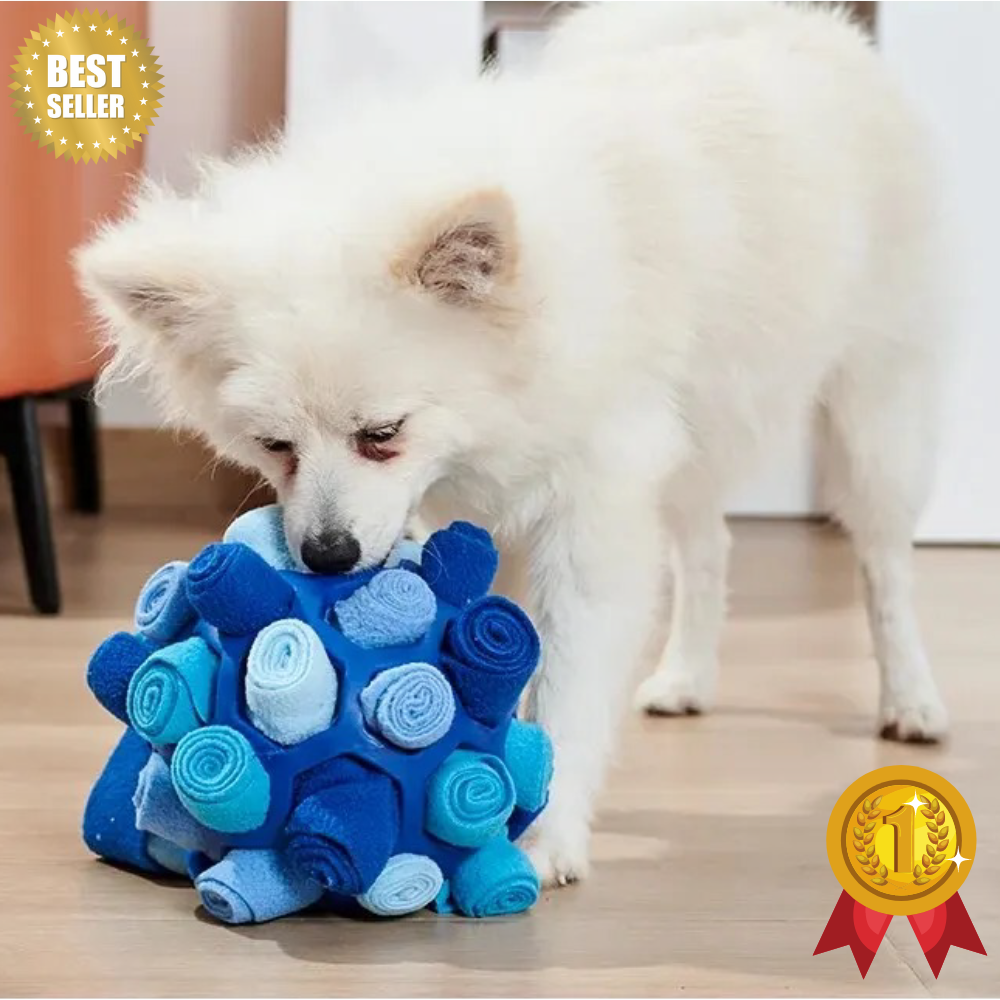 Szalone Języczki - innowacyjna zabawka dla psa