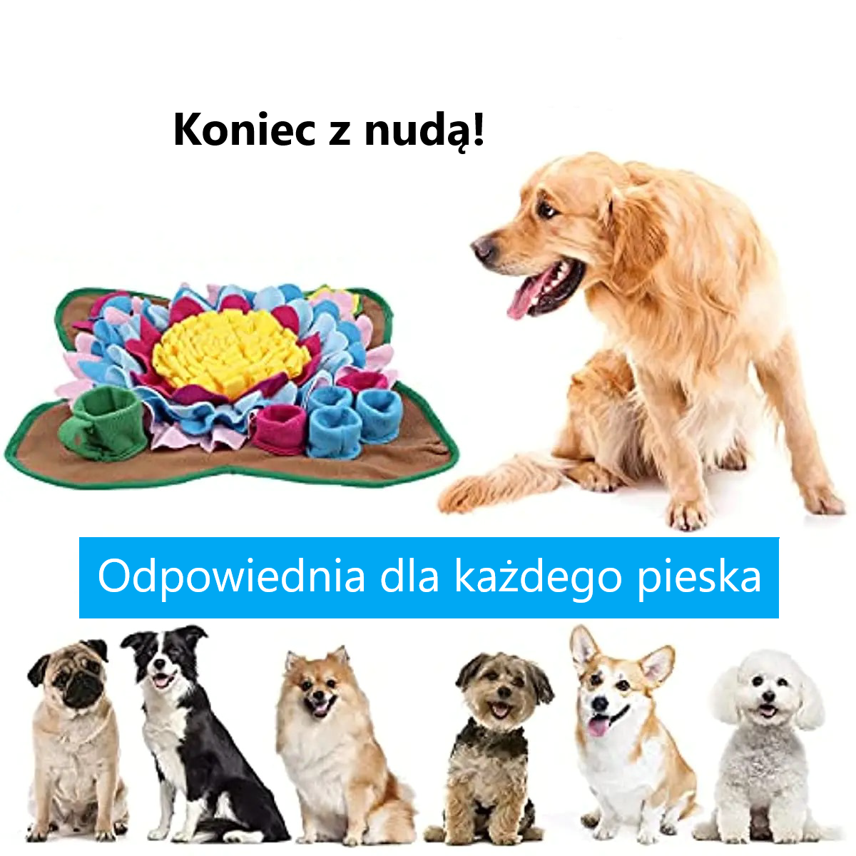 Mata węchowa dla psa